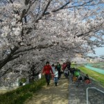 事業所の楽しさ 風景2